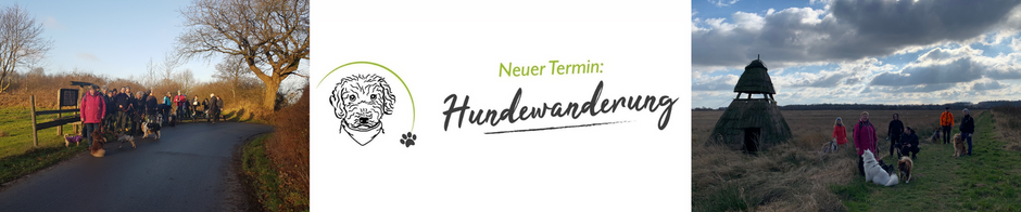 Hundewanderungen Schleswig-Holstein, Wandern mit Hund